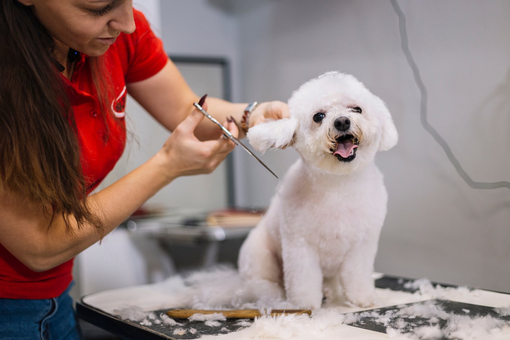 Dog grooming